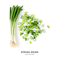 Spring green onion slices photography isolated on white background.