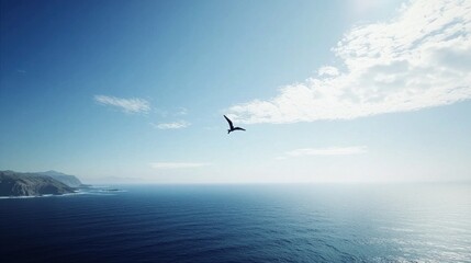 A lone bird soars above a vast, tranquil ocean under a clear blue sky
