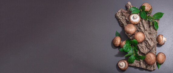 Royal champignons on oak tree bark with fresh green bay leaves. Ingredient for cooking vegan food