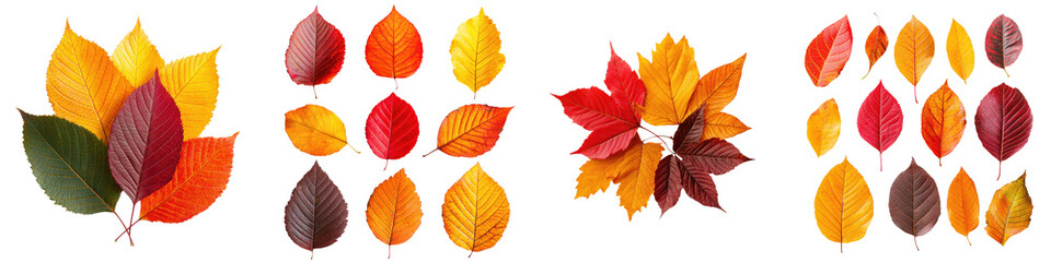 Stunning collection of vibrant autumn leaves and foliage in a variety of warm rich colors including red orange yellow and green  Natural seasonal background with patterns and an aesthetic