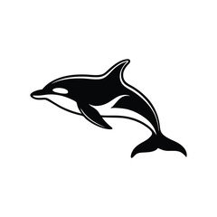 dolphin isolated on white background