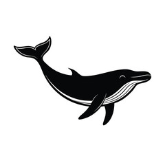 vector illustration of a shark