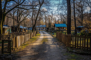 Dirt road winding through a serene village with quaint cottages and rustic charm in afternoon light