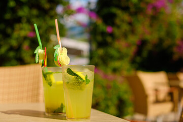 Two fresh beverages with colorful garnishes sitting on table in sunny green café embody tropical lifestyle and relaxing summer vibes