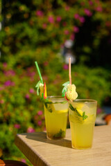 Cocktails decorated with mint leaves and fruit slices resting on wooden surface in green café setting inspire relaxation and summertime enjoyment