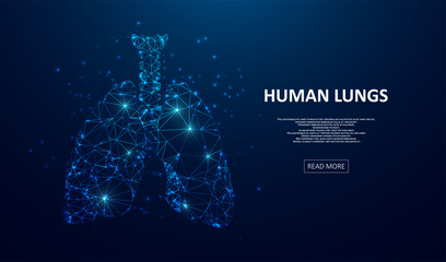 Abstract polygonal lungs. Glittering star dust lights. Polygonal futuristic style. Graphic concept for your design