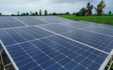 Solar panels for irrigation systems in farm.