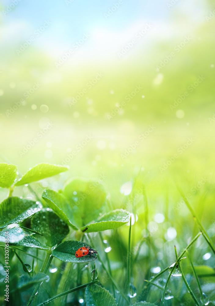 Poster beautiful nature background with morning fresh grass and ladybug. grass and clover leaves in droplet