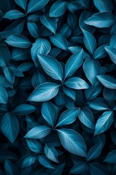 Deep Blue Leaves, Tropical Foliage Texture Vibrant Abstract Nature Background With Copy Space.