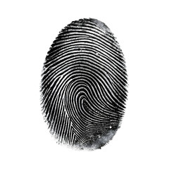 Fingerprint isolated on transparent background