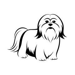 Outline illustration of a shih tzu dog standing calmly in a playful posture