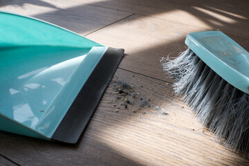 Cleaning the house, sweeping the floor.
