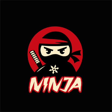ninja character vector illustration