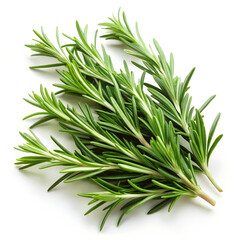Fototapeta premium fresh rosemary on white generative ai