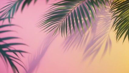 Tropical Palm Leaf Shadows on Colorful Pink and Yellow Background