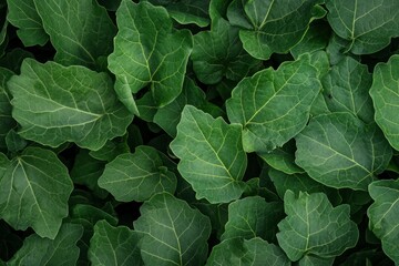 Fototapeta premium Lush green leaves close-up, nature background, vibrant foliage