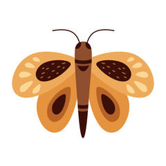 Boho butterfly clipart. Cute tropical character in cartoon flat style. Hand drawn vector illustration.