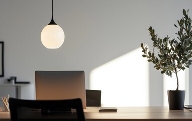 Fototapeta premium Modern Minimalist Workspace With Sunlight and Olive Tree