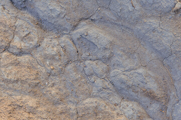 Close up of a natural texture from Iceland. Beautiful natural background