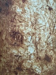 Rusty Metal Surface with Weathered Texture and Corrosion Patterns