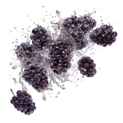 Blackberries Splashing in Water: A Juicy Burst of Freshness