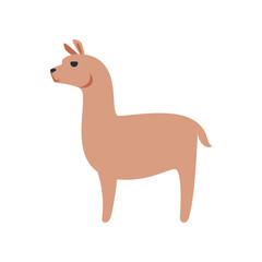 Llama