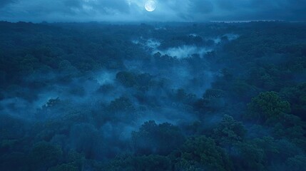 Fototapeta premium Aerial landscape abstract background idea. A serene night landscape featuring misty forests under a glowing moon.