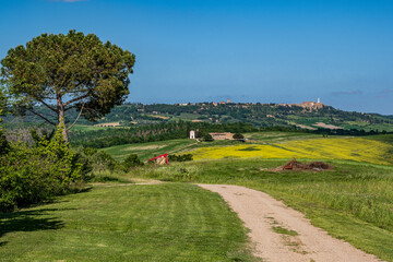 Obraz premium Panorama in Val d'Orcia 