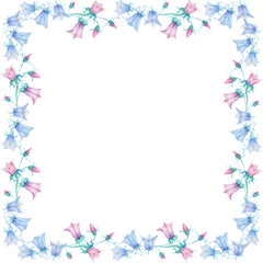 Bellflower flower. Square frame watercolor. Pink, blue
