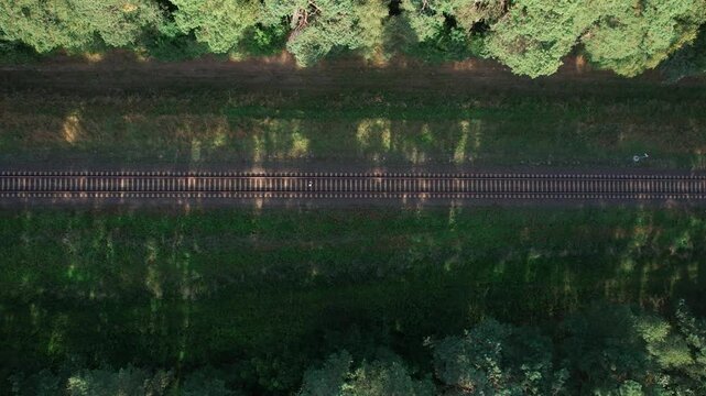 beautiful girl walking on railway in forest on summer day