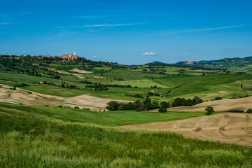 Obraz premium Panorama toscano in Val d'Orcia