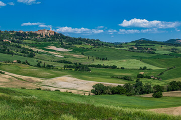 Obraz premium Panorama toscano in Val d'Orcia
