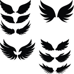 set of wings