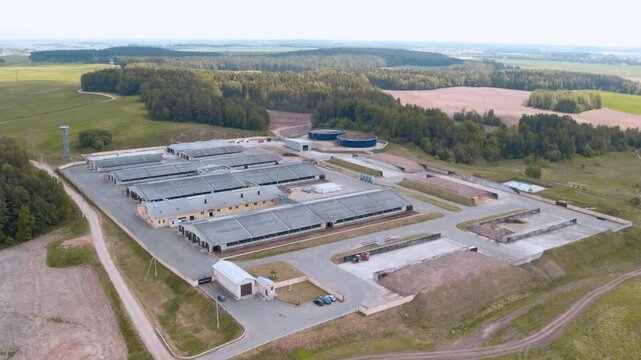 Countryside farm, cows are resting in the pens, view of farm buildings and hangars from a height.