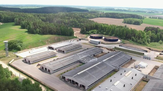 Dairy farm in countryside, cows are resting in the pens, view of farm buildings and hangars from a height.