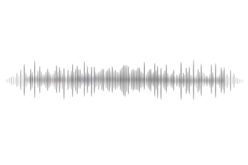 Auditory Visual Representation of Sound