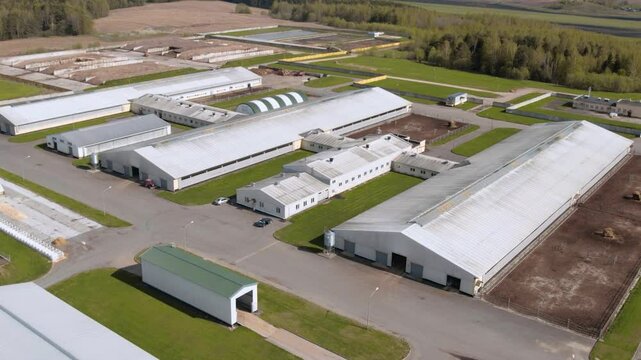 Large Modern Dairy Farm Operation Fall Aerial