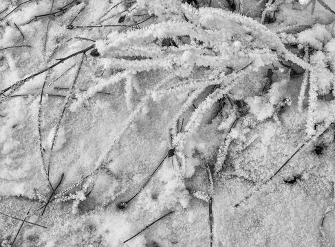 Snowy winter scene at Pickmere Lake, Pickmere, Knutsford, Cheshire, UK