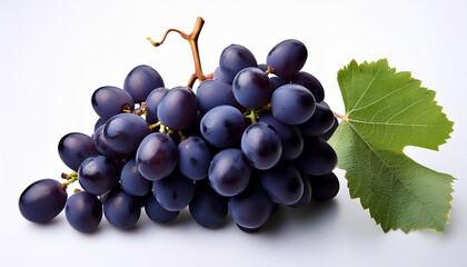 beautiful juicy bunch of blue grapes on a white background