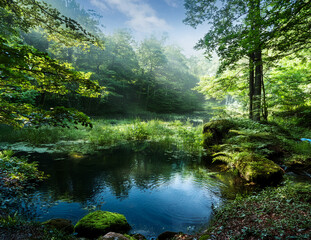 Obraz premium Generated image 森の泉