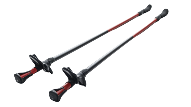 man with a sword - Powered by Adobe