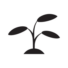 Tree plant vector