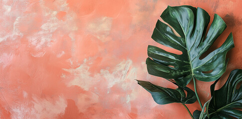 산호 배경에 있는 몬스테라 잎 사진, 복사 공간이 있는 플랫 레이. 분홍색 배경에 있는 열대 녹색 야자수 잎, 복사 공간이 있는 플랫 레이. Photo of a monstera leaf on a coral background, flat lay with copy space. A tropical green palm leaves on a pink color ba