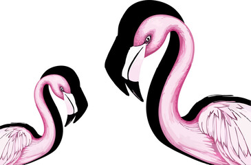 abstract illustration of Flamingo colorful flower