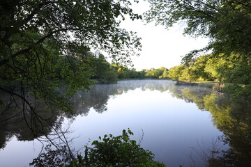 lake in the forest