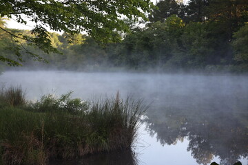 fog on the river