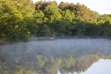 misty lake