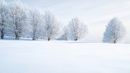 Fototapeta premium A serene winter scene with snow-covered trees and a peaceful, snowy landscape.