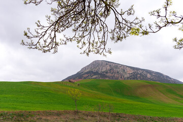 Scenic view of field against sky in Setif, Algeria.