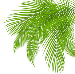 Summer coconut palm tree leaf decoration corner design, PNG file no background